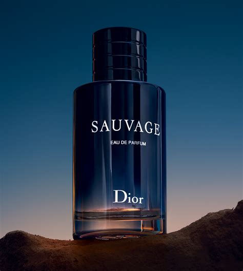 men's dior perfume